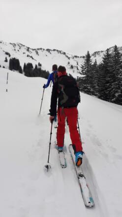 Am Ende des Waldes zieht die Route nach links hoch in Richtung Neugerachalpe und Gerenfalben.