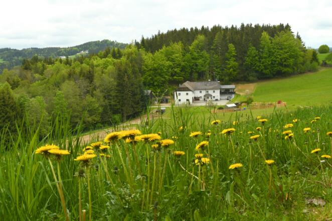 Unterwegs zur Hintermühle