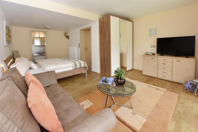 Doppelzimmer mit Schlafsofa