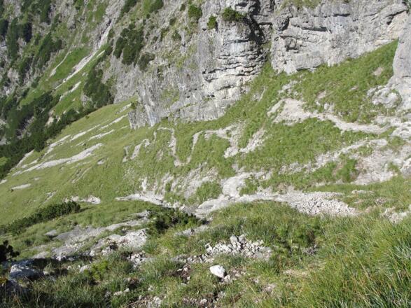 Die letzten Kehren hinauf zur Hochschere.