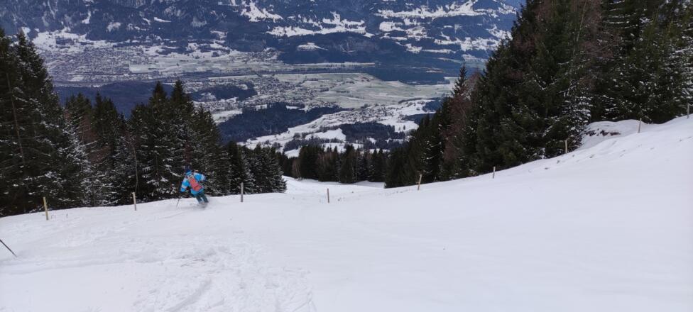 Die alte Piste - seit ca. 1970 nicht mehr in Liftbetrieb