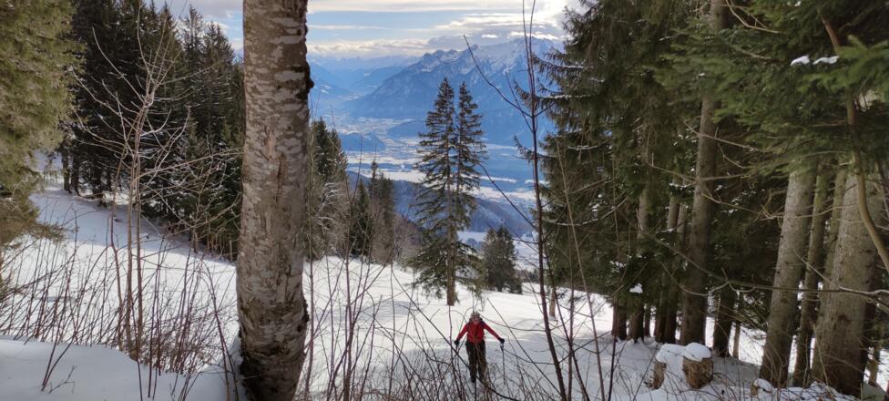 Richtung Forststraße