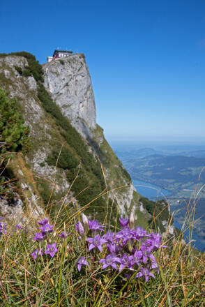 Übergang zur Spinnerin, Blick zurück zur Schafbergspitze