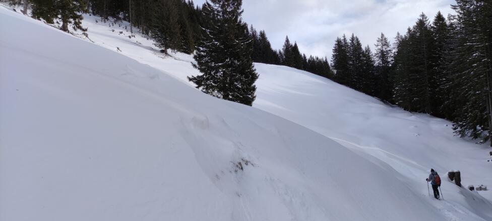 Der oberste freie Hang ist ein Traum bei guter Schneelage.