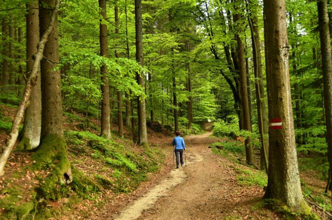 Unterwegs zur Hintermühle