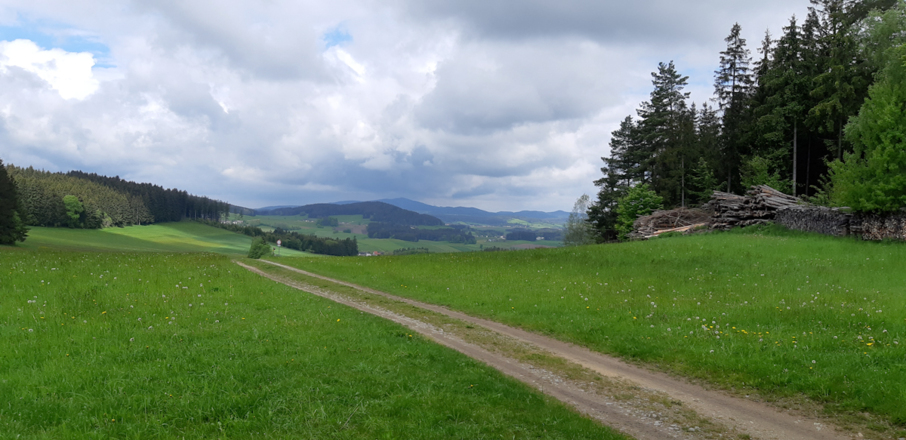 Blick zum Sternstein