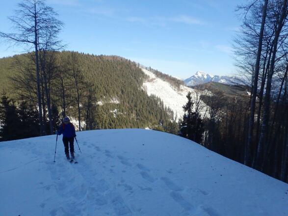 Blick zum Filbling, rechts dahinter der St. Wolfganger Schafberg