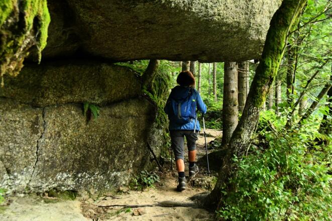 Entlang der Großen Naarn