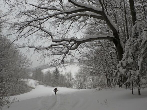 Idyllischer Mittelteil