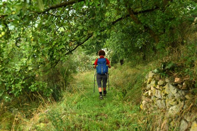 Unterwegs in Richtung Waldaist
