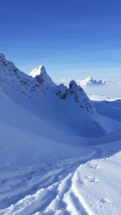 Blick zurück auf die Aufstiegsroute und Vorfreude auf die Abfahrt.