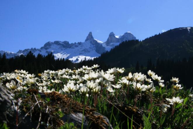 Landschaft