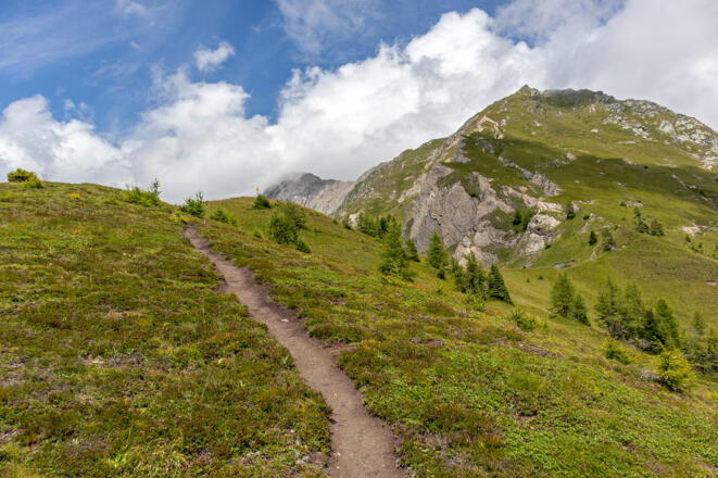 Der Gipfel des Planlissbichl kommt in Sichtweite