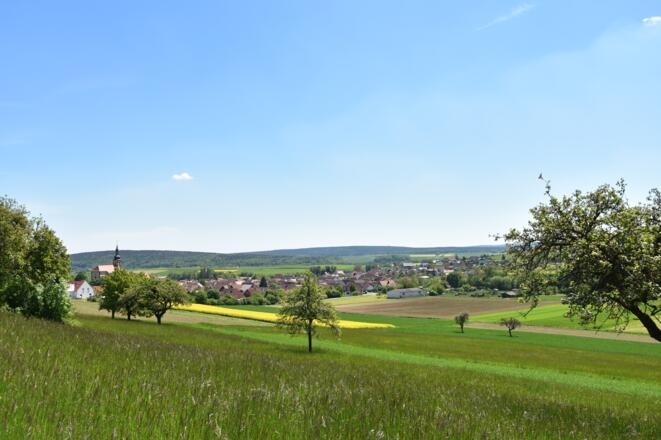 Heppbergweg, Rhön-Rundweg 7 Oberelsbach_3