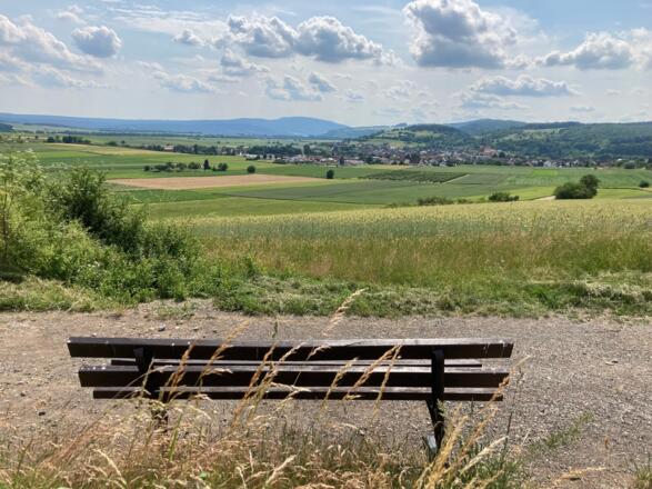 Schmetterlinge und Hundsrücken, Rhön-Rundweg 8 Oberelsbach_4