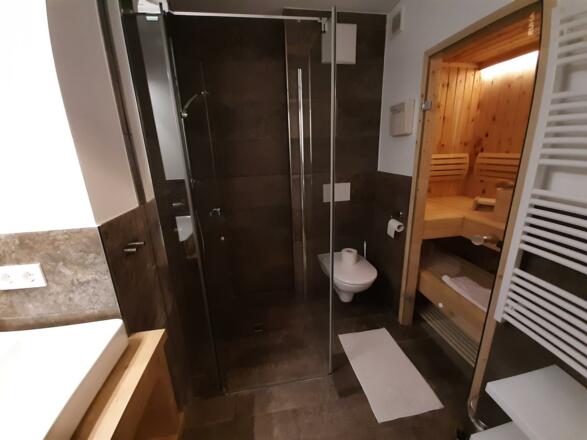 Bad1 Dusche Toilette und Sauna dunkel