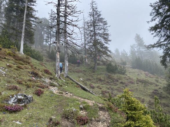 Auf dem Weg zum Hundsalmjoch