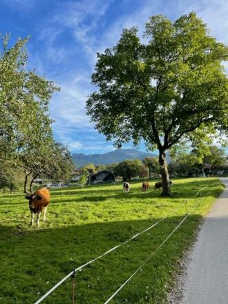 Spaziergänge rund ums Haus 1