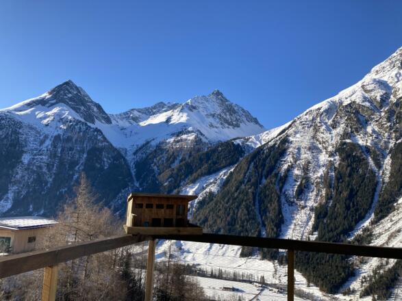 Ausblick Winter