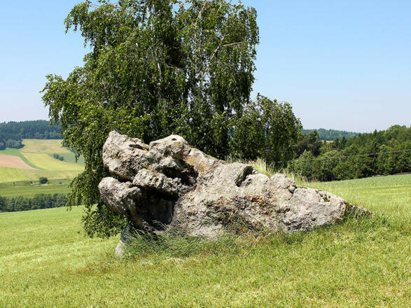 Ferienhof Obermaier (Bad Birnbach)