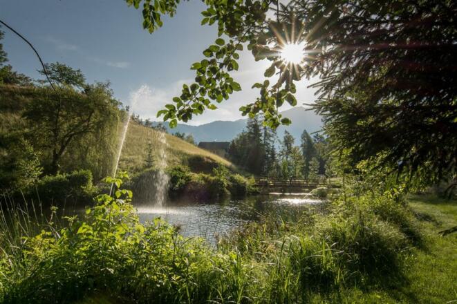 schwimmteich5