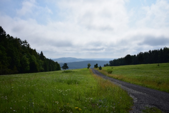 Gänsebrunnenweg, Rhön-Rundweg 4 Oberelsbach_1