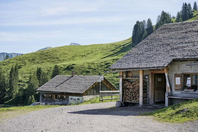 Alpe Steris 2