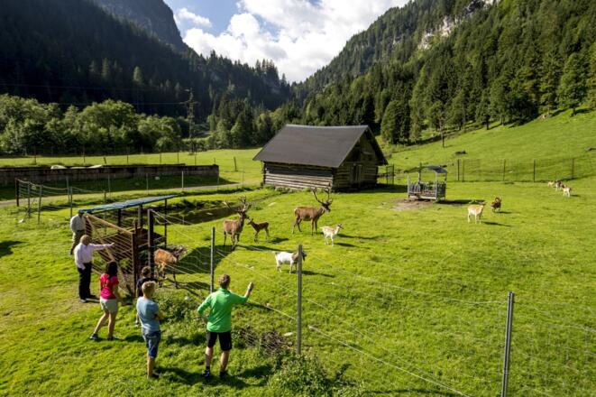 Freizeit- und Wildpark Untertauern
