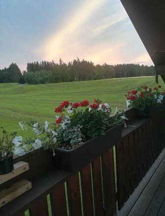 Ausblick Balkon