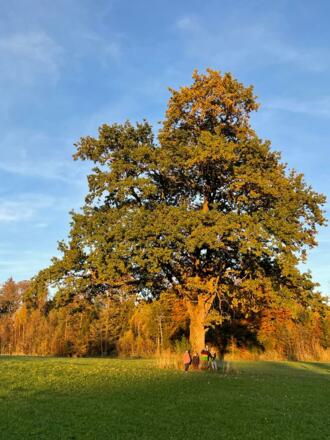 Spaziergänge rund ums Haus 3