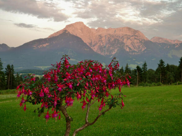 Blick auf den Hohen Göll