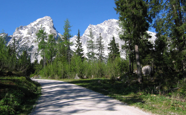 Kühroint von Ramsau