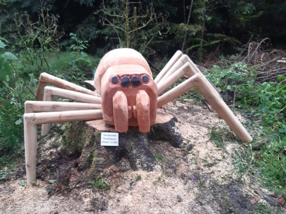 Spinne im Walderlebnispfad