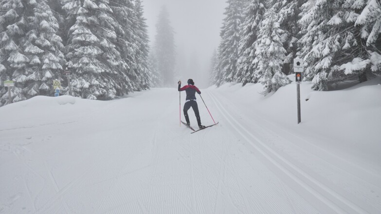 Skilanglaufen am Bretterschachten