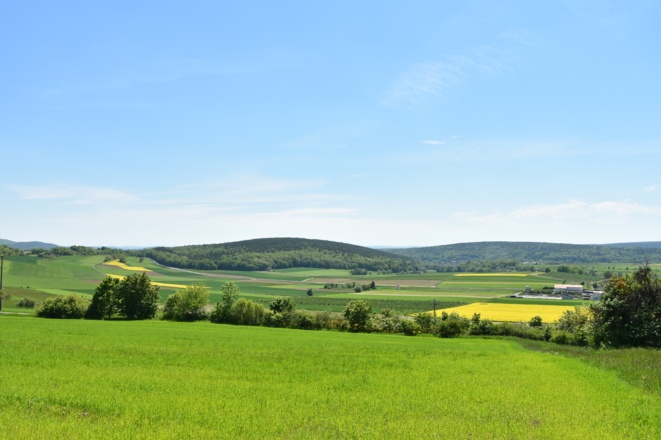 Heppbergweg, Rhön-Rundweg 7 Oberelsbach_1
