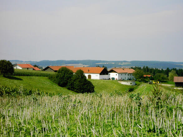 Ferienhof Obermaier (Bad Birnbach)
