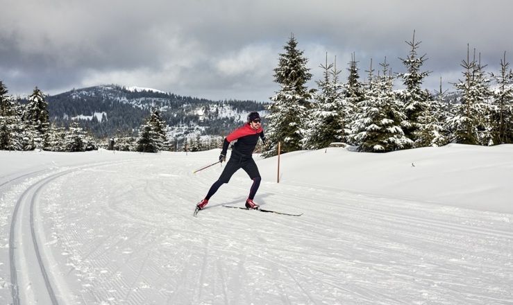 Die Auerhahnhöhenloipe ist ein Traum