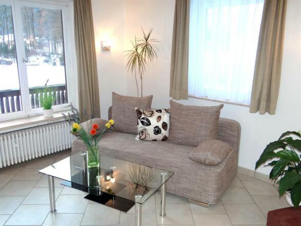 Wohn-Schlafzimmer mit Südbalkon Whng 1