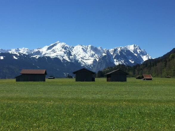 Frühlingswiese bei Farchant
