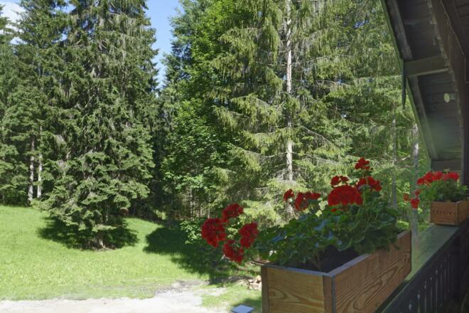 Blick vom Schlafzimmer