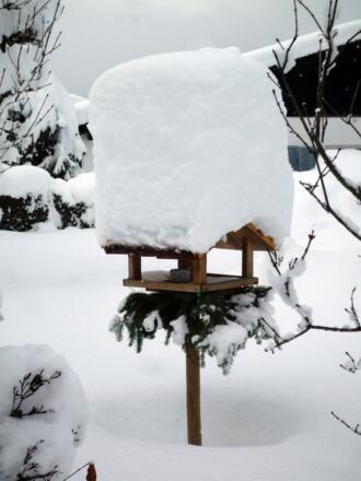 Winter 2021