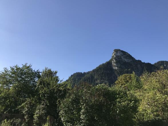 Aussicht auf den Hausberg Kofel vom Garten aus