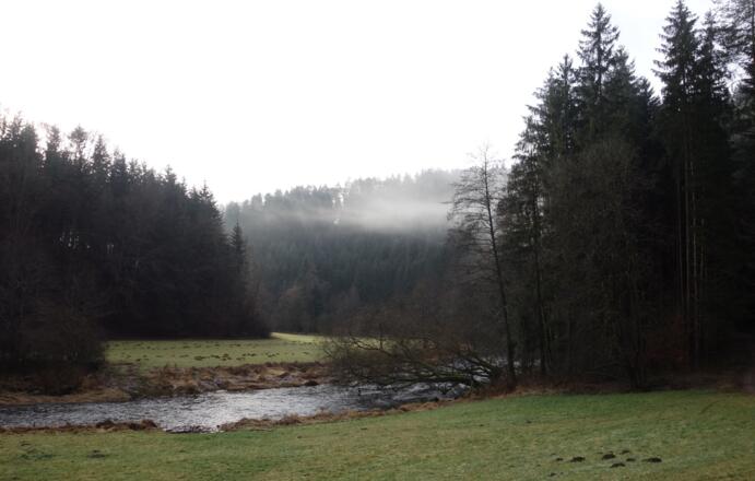 Eingang in das Pfreimdtal