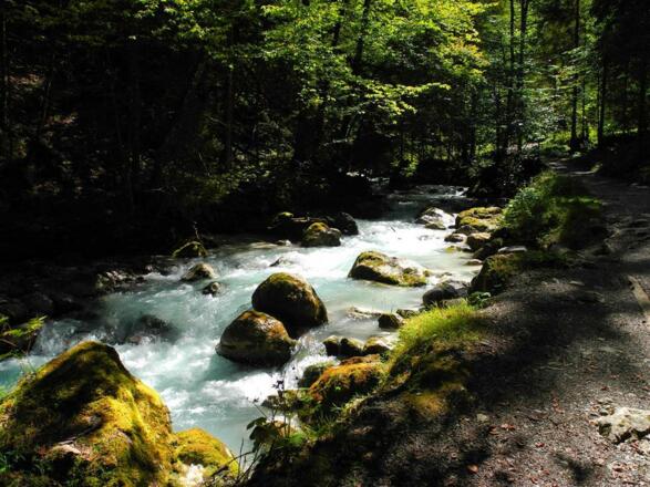 Ferienwohnungen Grainau "Der gekrönte Hirsch"