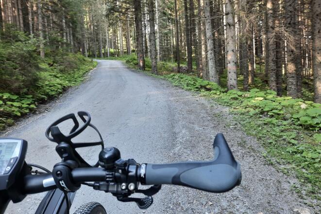 Mountainbiken