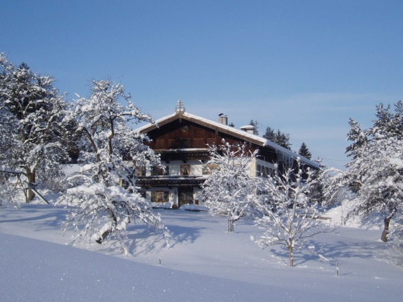 Wunderbarer Wintertag