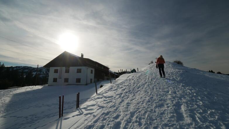 Die Mittelberg-Alpe und ihr „Gipfelkreuz“