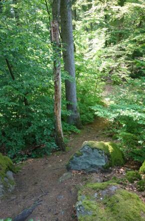 Pfade am Rattenberger Höhenweg