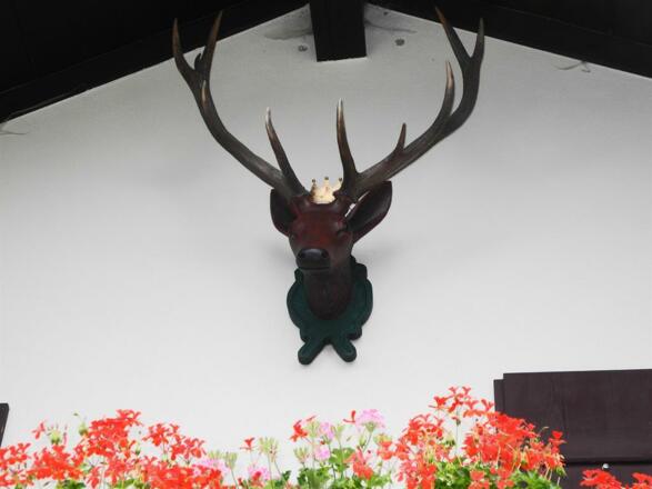 Ferienwohnungen Grainau "Der gekrönte Hirsch"