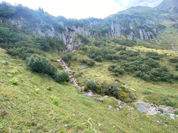 Bach durchs Widdersteingebiet